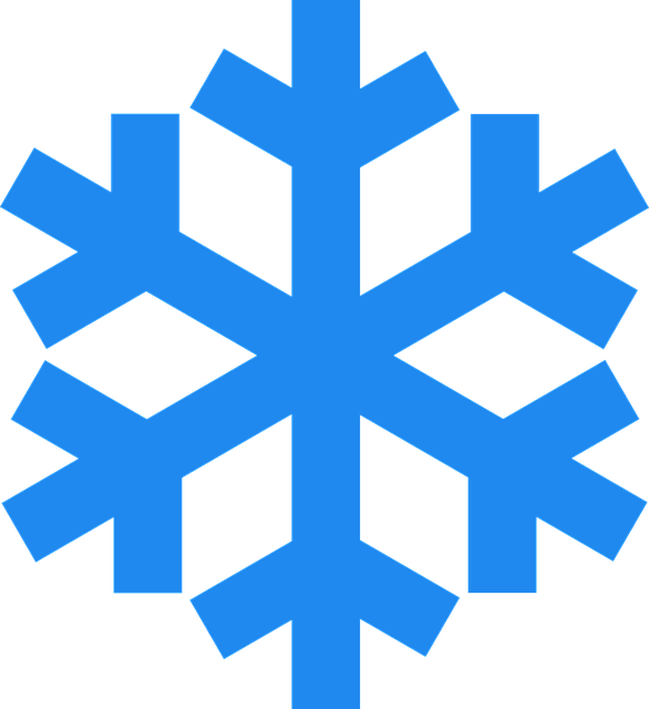 Snowflake