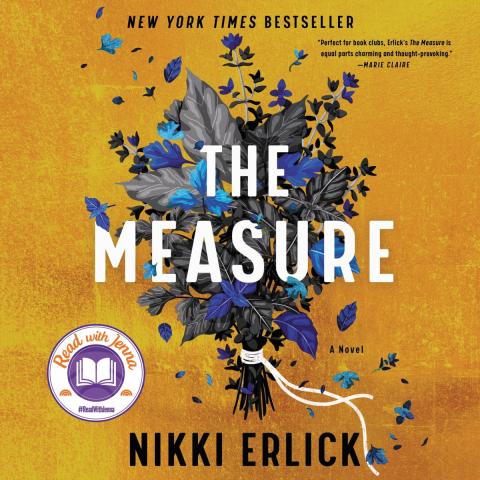 The Measure by Nikki Erlick