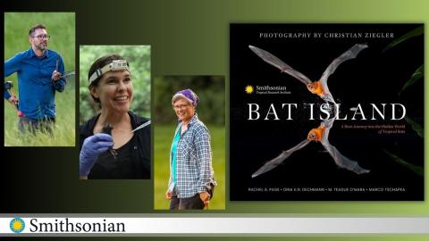 Smithsonian Bats