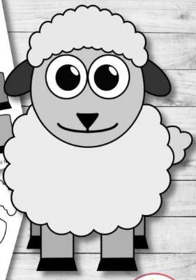 Sheep