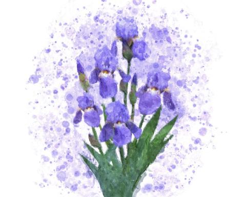 Reverse Coloring Picture