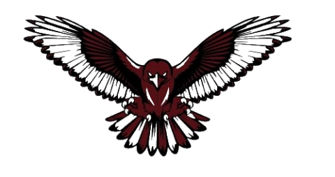 Nyack High School red hawk