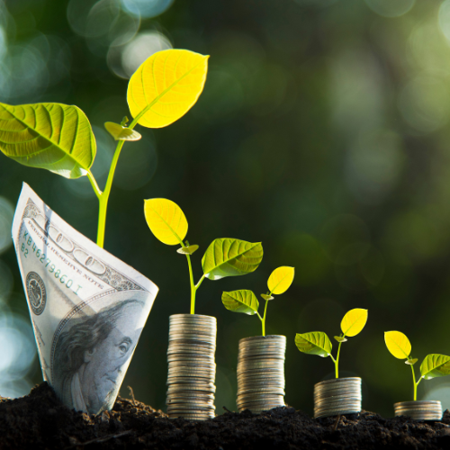 Plants growing out of money