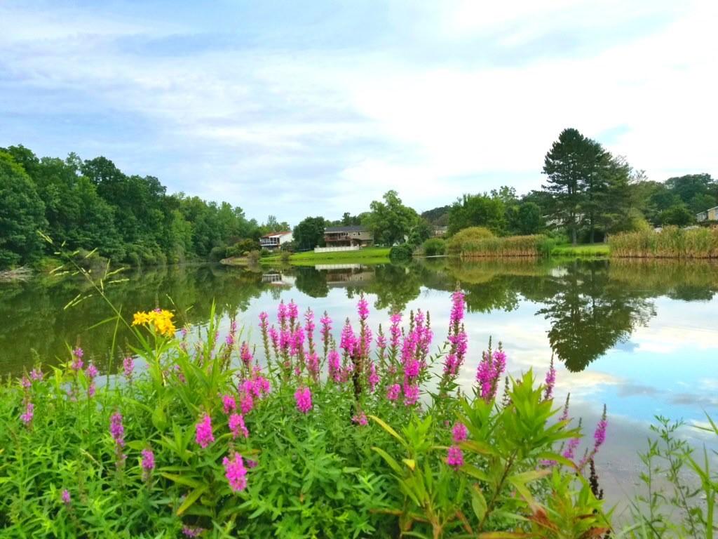 Valley Cottage Reflection